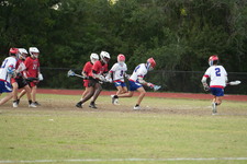 Enlarge photo 526