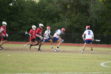 Enlarge photo 528