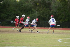 Enlarge photo 529