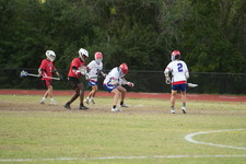 Enlarge photo 532
