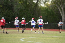 Enlarge photo 543