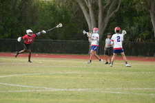 Enlarge photo 544