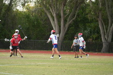 Enlarge photo 553