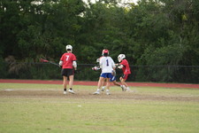 Enlarge photo 558