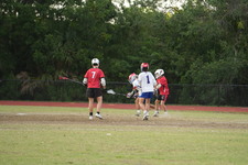 Enlarge photo 557