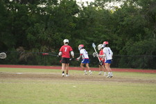 Enlarge photo 562