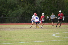 Enlarge photo 571