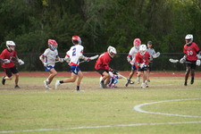 Enlarge photo 579