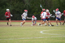 Enlarge photo 583