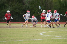 Enlarge photo 584