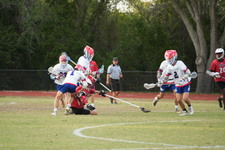Enlarge photo 586