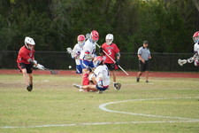 Enlarge photo 590