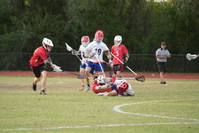 Enlarge photo 593