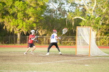 Enlarge photo 626