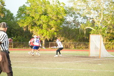Enlarge photo 635