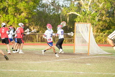 Enlarge photo 647