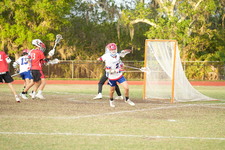 Enlarge photo 648