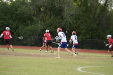Enlarge photo 683