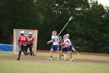 Enlarge photo 730