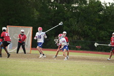 Enlarge photo 731