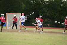 Enlarge photo 732