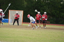 Enlarge photo 735