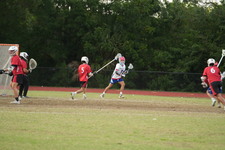 Enlarge photo 823