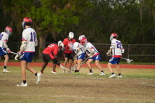 Enlarge photo 1146