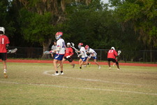 Enlarge photo 1186