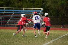 Enlarge photo 1229