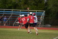 Enlarge photo 1237