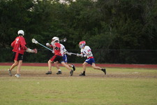 Enlarge photo 1529