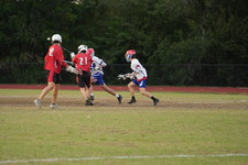 Enlarge photo 1531