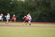 Enlarge photo 1539