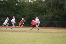 Enlarge photo 1540
