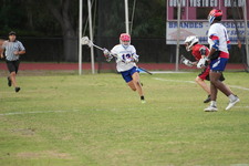 Enlarge photo 1617
