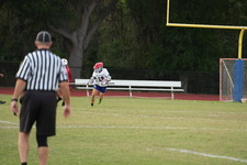 Enlarge photo 1629