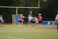 Enlarge photo 1651