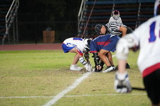 Enlarge photo 65