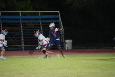 Enlarge photo 80