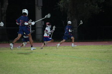 Enlarge photo 243