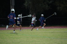 Enlarge photo 244