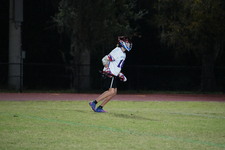Enlarge photo 260