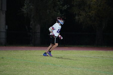 Enlarge photo 262