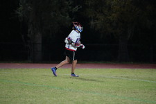 Enlarge photo 263