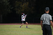 Enlarge photo 299
