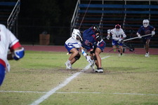 Enlarge photo 309