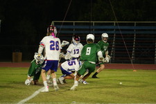 Enlarge photo 30