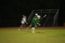 Enlarge photo 46