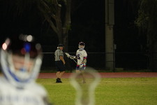Enlarge photo 61